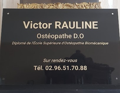 Rauline Victor Ostéopathe D.O., Ostéopathe à Plénée-Jugon
