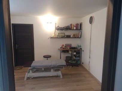 Docquier Jean Denis - Kinésithérapeute Ostéopathe - Usclas Du Bosc, Ostéopathe à Usclas-du-Bosc