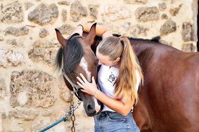 Ostéopathe Animalier - Albane Osselin, Ostéopathe à Vasseny