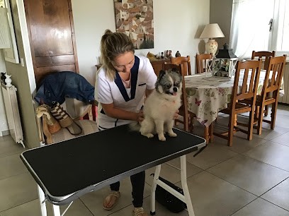 Bien-être Animal : Cheval, Chien, Chat, Vache, Chèvre, Poule..., Ostéopathe à Montbrison