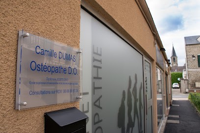 Camille Dumas Ostéopathe D.O. Le Mesnil-Saint-Denis, Ostéopathe au Mesnil-Saint-Denis