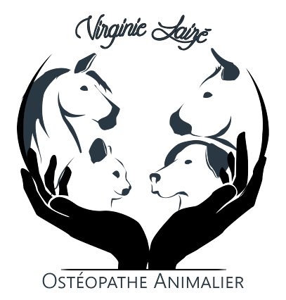 Virginie Laizé / Laetitia Berlandi - Ostéopathe Animalier, Ostéopathe à Saint-Germain-du-Puy