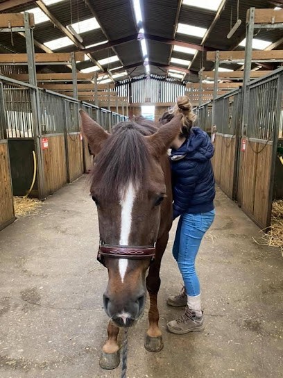 Ostéopathe Pour Animaux - Charlène Masure ( équin, Canin, Félin, Bovin ), Ostéopathe à Petiville
