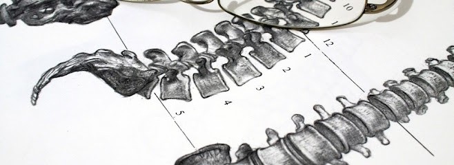 Théo CRAQUELIN-HENGY Ostéopathe D.O., Ostéopathe à Savigny-sur-Orge