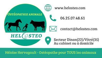 Ostéopathe Animalier Pour Chevaux, Bovins, Chiens Et Chats - Hélostéo, Ostéopathe aux Champs-Géraux
