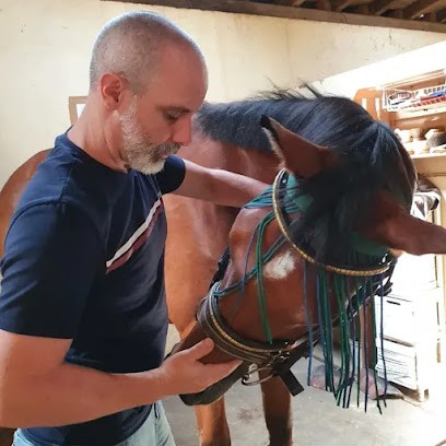 Ostéolivier Animalier, Ostéopathe à Perrignier