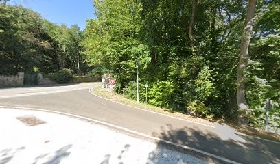 Osteopathe-canin, Ostéopathe à Choisel