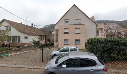 Adrian Schneider - Ostéopathe animalier, Ostéopathe à Barr