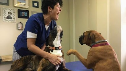 Cabinet D'Ostéopathie Animale à Venelles De Claire Charpentier, Ostéopathe à Venelles