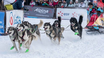 Ostéopathe Animalier Amelie Metellini, Ostéopathe à Villiers-Saint-Georges