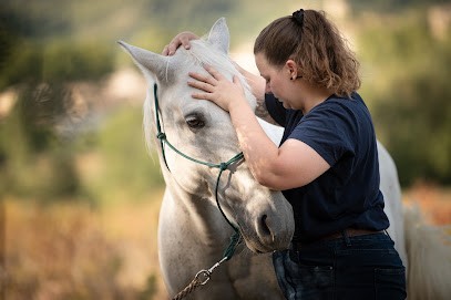 Imogen Barden - Ostéopathe Animalier & Saddle-Fitter, Ostéopathe à La Motte-d'Aigues