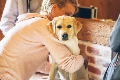 Laetitia Berlandi Ostéopathe Animalier, Ostéopathe à Mauzun