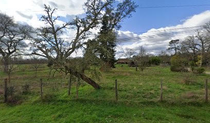 Martin Veronique, Ostéopathe à Ygos-Saint-Saturnin
