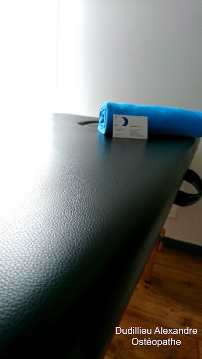 Dudillieu Alexandre Ostéopathe, Ostéopathe à Émerainville