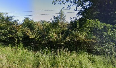 ROY Yves Christian, Ostéopathe à Saint-Thurial