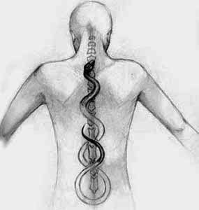 Grégory LECHAUX - Ostéopathe DO - Cabinet D'ostéopathie, Ostéopathe aux Angles