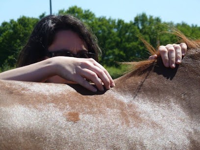 Alison De Smet, Ostéopathe à Férolles