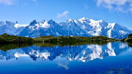 FAUCON Cédric OSTEOPATHE D.O., Ostéopathe à Jouques