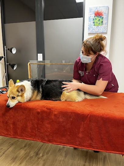 Alice Pilastre, Ostéopathe à Saint-Genis-les-Ollières