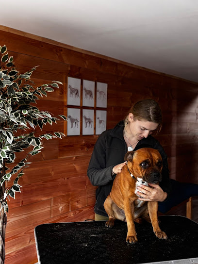 Marine Boulanger - Ostéopathie Animale, Ostéopathe à Fréhel