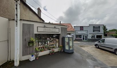 Presneau Benoit, Ostéopathe au Pallet