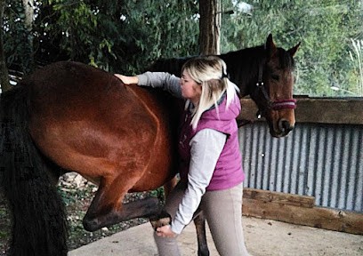 Ostéopathe animalier - Mathilde Bornowski, Ostéopathe à Vexin-sur-Epte