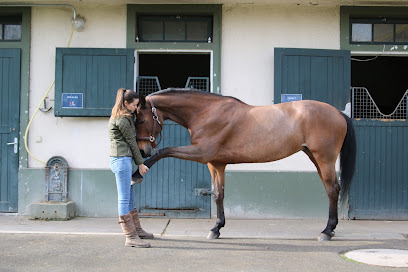 Florie Questel - Ostéopathie Animale Oa133 Ostéopathe à Saint-Germain-en-Laye