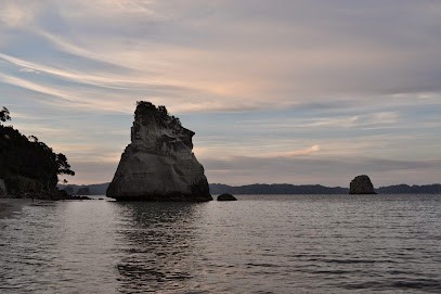 Pouplin Benjamin Ostéopathe D.O., Ostéopathe à Lussac-les-Châteaux