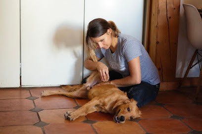 Madeleine Miesch - Ostéopathe animalier, équin, canin, félin, bovin, Ostéopathe à Lavars