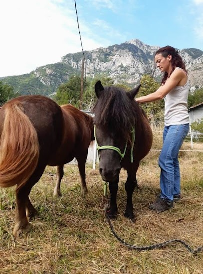 Alexia ORTEGA Ostéopathe Animalier Alpes Maritimes OA 460, Ostéopathe à Vence