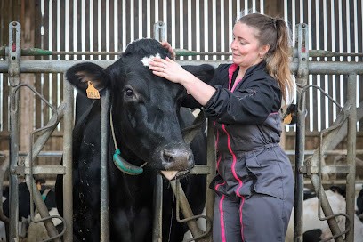 Symbiose Animale (Domicile - Ostéopathie Bovine et Equine), Ostéopathe à Landujan