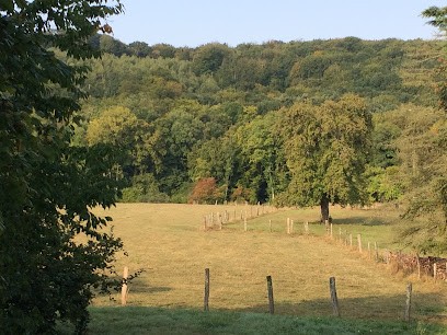 SUY Anne-cecile (Cabinet D'ostéopathie), Ostéopathe à Futeau