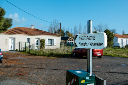 Osteopathe - Pierre-Yves Pajot Sourisseau, Ostéopathe à la Bernerie-en-Retz