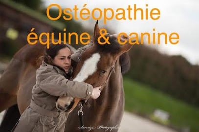 Elise Mirebault OA622 - Ostéopathe animalier: équin, canin, bovin, félin, Ostéopathe à Villiers-au-Bouin