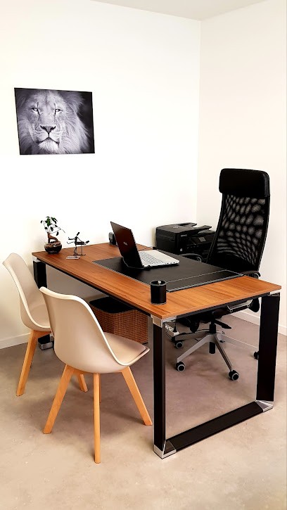 Pierre Delacroix Ostéopathe D.O., Ostéopathe à Saint-Amand-les-Eaux