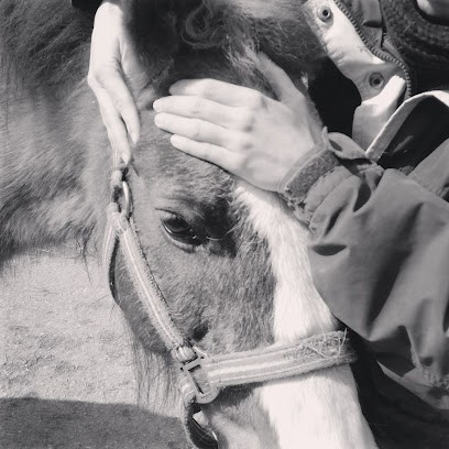 Marion Ferrier Ostéopathe Animalier En Ariège, Ostéopathe à La Tour-du-Crieu