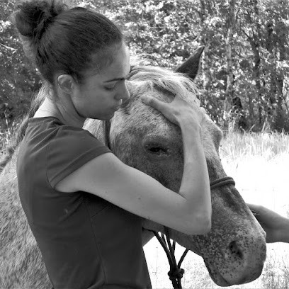 Clémence Falquier Ostéopathe Equin, Ostéopathe à Villeneuve