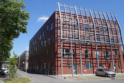 Amélie Rose, Ostéopathe à Tourcoing