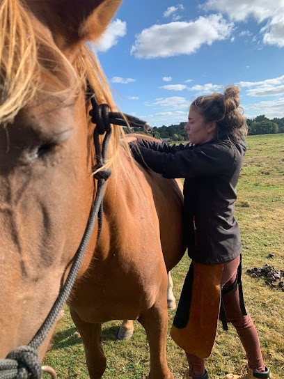 Laure Chevillard - Ostéopathe Animalier, Ostéopathe à Piriac-sur-Mer