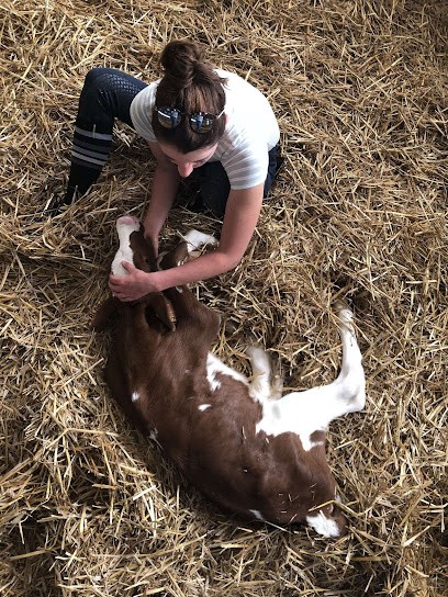 Noémie Creton - Ostéopathe Animalier, Ostéopathe à Verdun