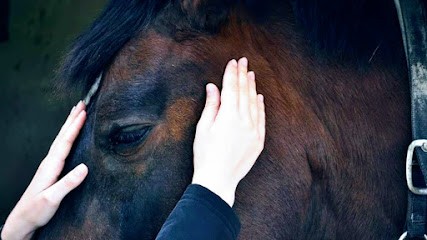 Léa JOLY Ostéopathe Animalier, Ostéopathe à Roynac