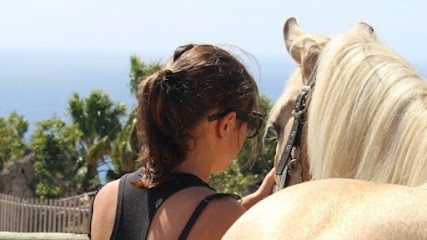 Juliette Michel - Ostéopathe Animalier, Ostéopathe à Vogüé