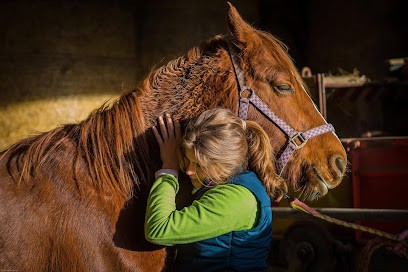 Osteopathe Animalier P. Barry, Ostéopathe à Luriecq
