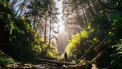 Liabeuf Grégory Ostéopathe D.O., Ostéopathe à Grézieu-la-Varenne