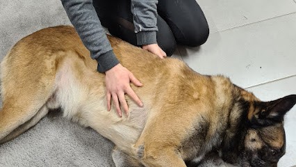 Marie-Lou Bourgoin, Ostéopathe à Frémécourt