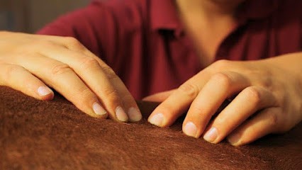 RUÉ Solène - Ostéopathe Animalier, Ostéopathe à Hochstatt