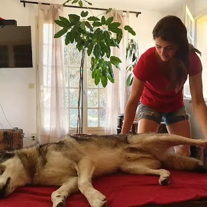 Charline CABANTOUS Ostéopathie Animale, Ostéopathe à Toucy