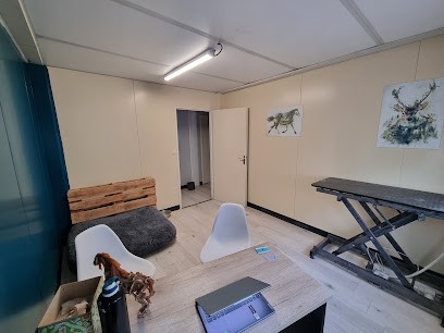 Cabinet D'Ostéopathie Animale : Chien, Chat, NAC, Ostéopathe à Leffrinckoucke