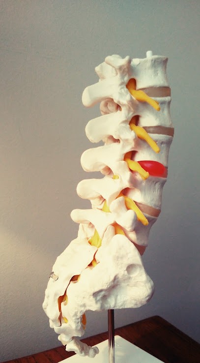 Marie-Ambre Binet Ostéopathe D.O., Ostéopathe à Coignières