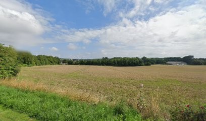 Lartigue-Feugnet Monique, Ostéopathe à Rouillac